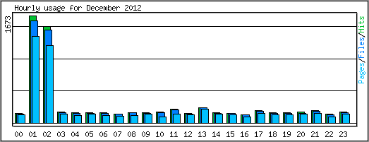 Hourly usage