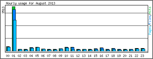 Hourly usage