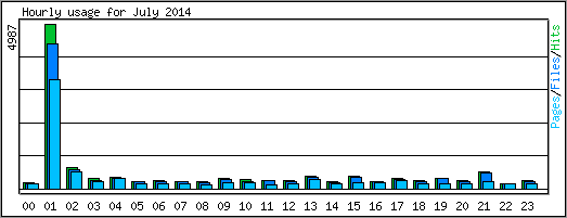 Hourly usage