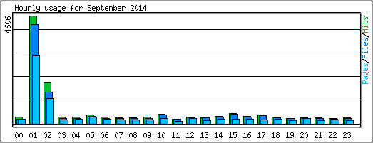 Hourly usage