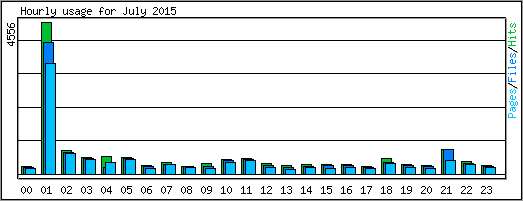 Hourly usage