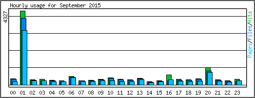 Hourly usage