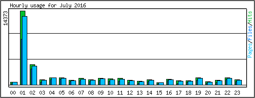 Hourly usage