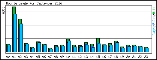 Hourly usage