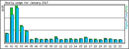 Hourly usage