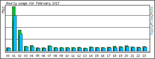 Hourly usage