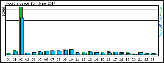 Hourly usage