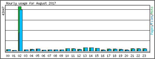 Hourly usage